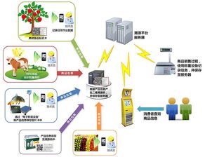 物聯(lián)網(wǎng)技術(shù)賦能產(chǎn)業(yè)升級(jí) 防偽、食品安全與新材料研發(fā)的革新應(yīng)用
