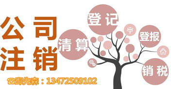 一站式服務 上海各區(qū)公司注銷、工商注冊及商標代理全方位指南
